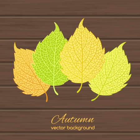 Beautiful  illustration  with autumn leaves on wooden backgroundのイラスト素材