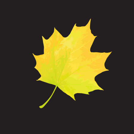 Beautiful llustration  with gold autumn leaf on black backgroundのイラスト素材