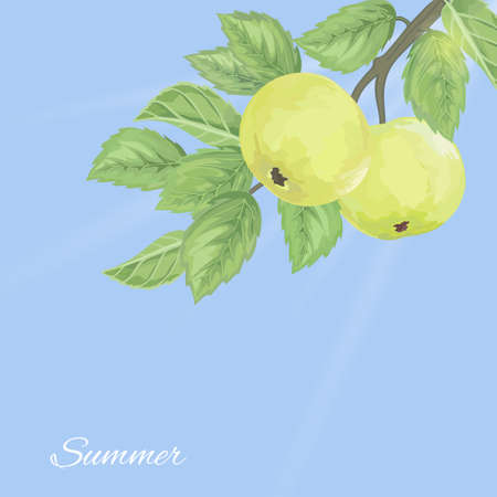 Elegant pattern with green apples and leaves against the skyのイラスト素材