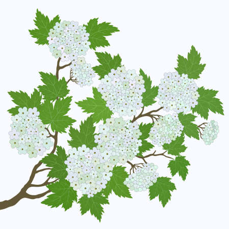 Spring card with abstract leaves and flowersのイラスト素材