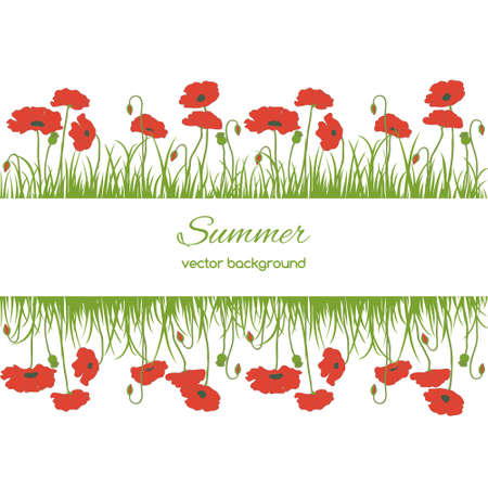 Spring card with grass and poppies   on white backgroundのイラスト素材