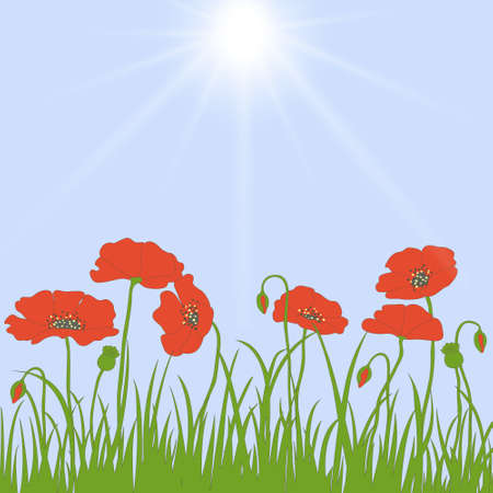 Spring card with grass, poppies  and spikelets on blue backgroundのイラスト素材