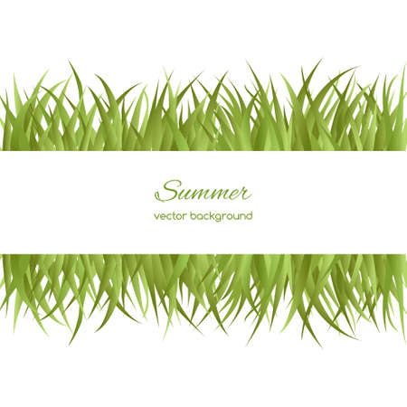Spring card with grass  on white backgroundのイラスト素材