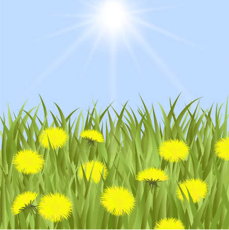 Spring card with grass  and dandelionsのイラスト素材