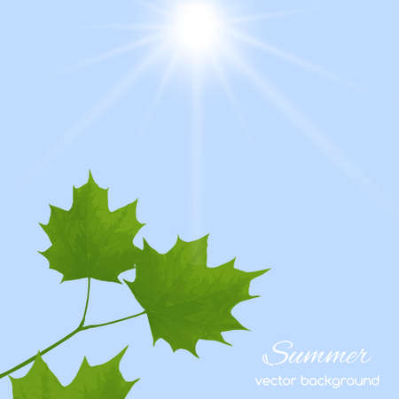 Spring card with  maple leaves against the skyのイラスト素材