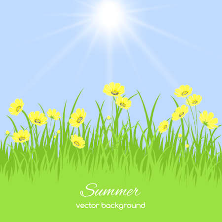 Spring card with grass and flowers on blue backgroundのイラスト素材
