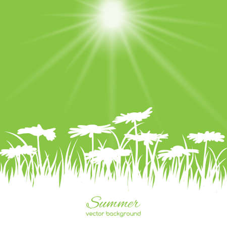 Spring card with flowers and grass on green backgroundのイラスト素材