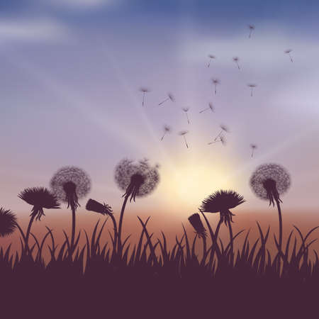 Spring dandelion flowers  on a blurred backgroundのイラスト素材