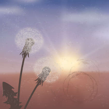 Spring dandelion flowers  on a blurred backgroundのイラスト素材