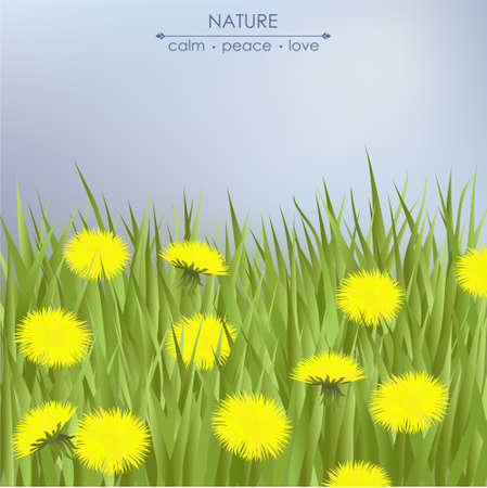 Spring card with dandelions and green grassのイラスト素材