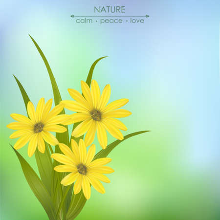 Elegant card with spring flowers on a green background.のイラスト素材