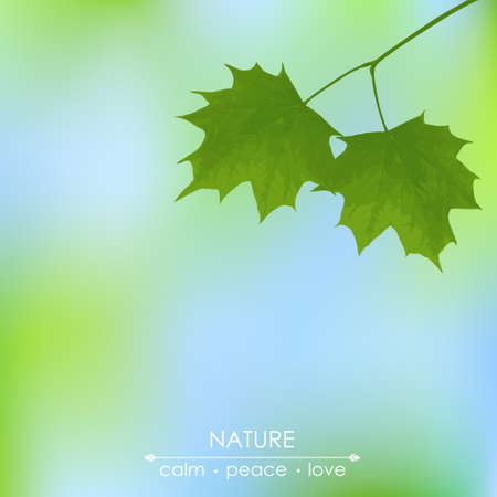 Elegant illustration with  maple leaves on a blurred backgroundのイラスト素材