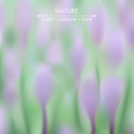 Elegant blurred illustration with spring flowers. Vector web and mobile interface backgroundのイラスト素材