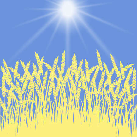 Golden wheat ears against the blue skyのイラスト素材