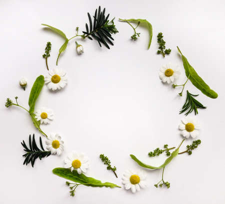 Colorful summer round frame with herbs and flowers. Flat lay on white table