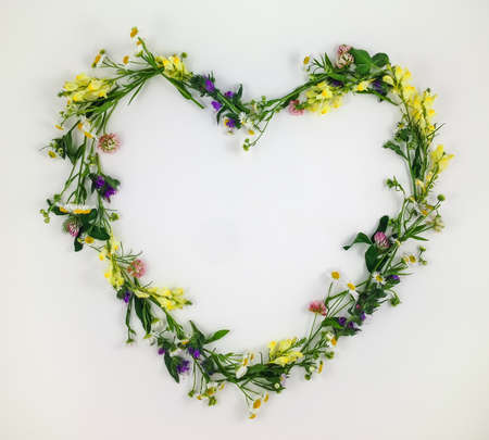 Heart symbol made of meadow flowers and leaves on white background. Flat lay, top viewの写真素材