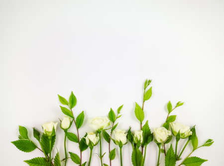 Decorative frame with gentle white roses on white background. Flat lay, top view with copy spaceの写真素材
