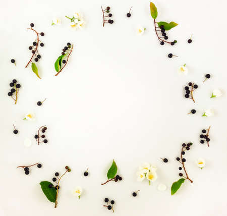 Colorful bright pattern of leaves, berries and flowers on white background. Flat lay, top view with copy spaceの写真素材