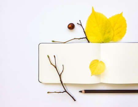 Closeup of notebook and pencil on white background. Decorated with autumn yellow leaves and branches. Top view, flat layの写真素材