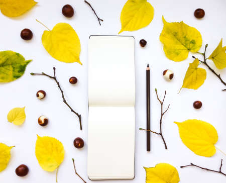 Closeup of notebook and pencil on white background. Decorated with autumn yellow leaves and branches. Top viewの写真素材