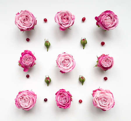 Decorative pattern with pink bright roses, buds and berries on white background. Flat lay, top view, view from aboveの写真素材
