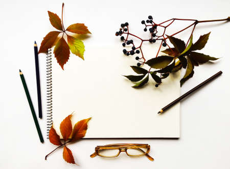 Autumn composition with sketchbook, pencils and glasses on white background, decorated with red leaves and berries of virginia creeper. Flat lay, top view, view from aboveの写真素材