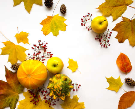 Stylish composition of colorful vegetables, fruits, autumn leaves and berries. Top view on white background. Autumn flat layの写真素材