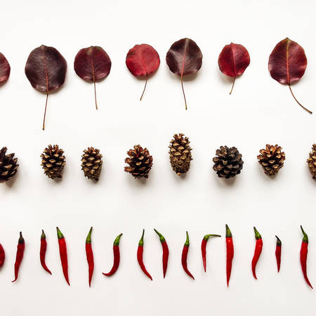 Autumn minimalist composition with bright red leaves, pine cones and small chili peppers. Flat lay, top view, white backgroundの写真素材
