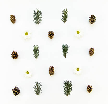 Creative natural floral pattern of winter plants on white background. Rowanberry, fir tree branches,...