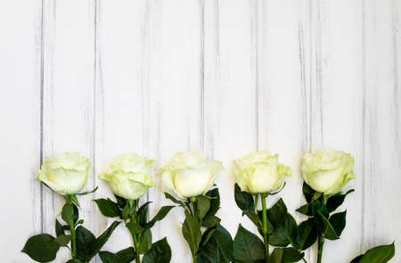 Perfect creme luxurious roses lying on table for wedding, birthday or Valentine's day. White old wooden background, top view, flat layの写真素材