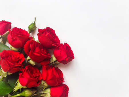 Bunch of small beautiful red rose flowers isolated on white background. Romantic gift concept, for Birthday or any other holiday. Flat lay, top viewの写真素材