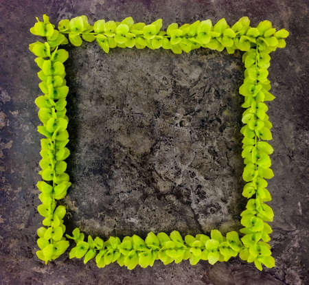 Bright frame of green natural branches on dark stone background. Top view, flat lay. Minimalism conceptの写真素材
