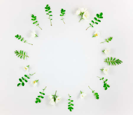 Colorful bright round pattern of leaves and flowers. Floral mandala, frame for text. Flat lay, top view, copy space for your textの写真素材