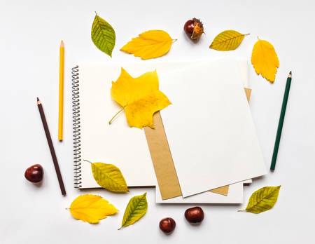 Autumn composition with sketchbook and pencils on white background, decorated with yellow and green leaves. Fall still-life. Artistic workplace with space for text. Flat lay, top view, view from aboveの写真素材