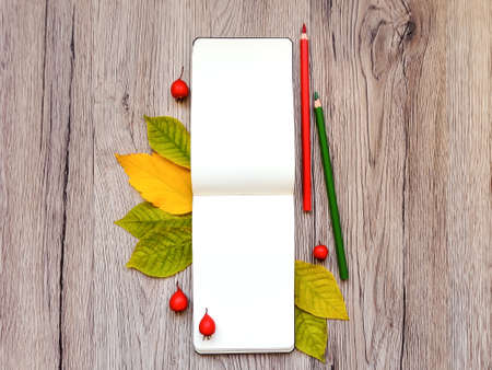 Closeup of sketchbook and colorful pencils. Decorated with autumn yellow leaves and red wild berries on wooden background. Top view, flat lay, view from aboveの写真素材