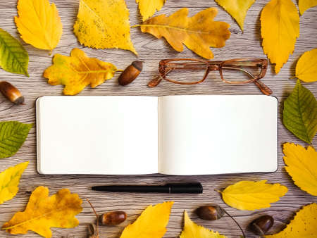 Closeup of sketchbook, glasses and pen. Decorated with autumn yellow leaves, acorns and branches on wooden background. Top view, flat lay, view from aboveの写真素材