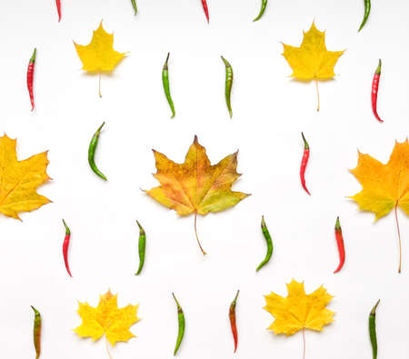 Bright pattern with autumn leaves and colorful chili peppers on white background. Flat lay, top view, view from aboveの写真素材