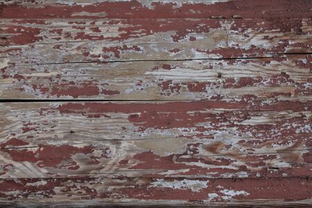 old tree overlap Board nature hardwood