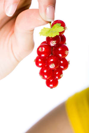 Close up of the hand of a woman holding a bunch of succulent ripe red redcurrants isolated on whiteの写真素材