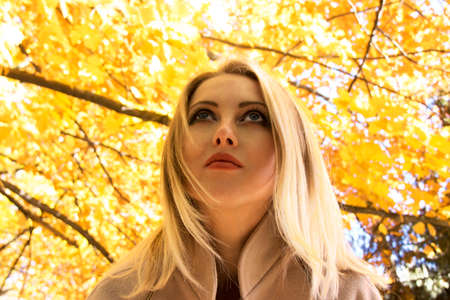 Pretty girl in autumn forestの写真素材