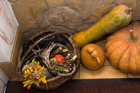 Pumpkinsの写真素材