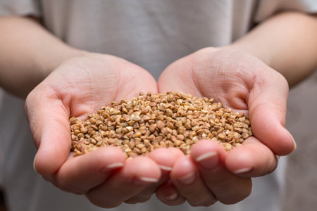 Buckwheat in the hands. The concept of healthy eating.
