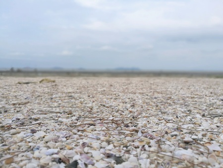 Close up sand beachの素材