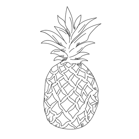 Pineapple illustration on a white background.Black and white color line artの写真素材
