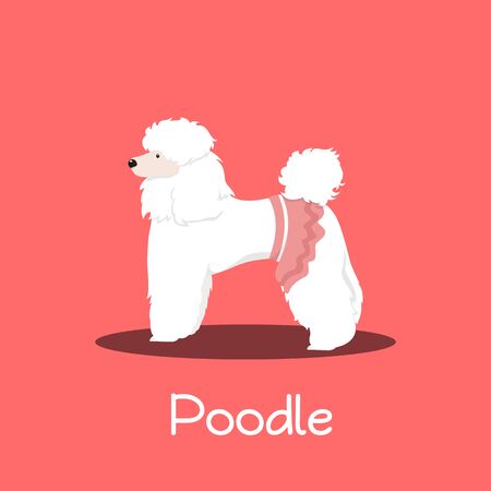 A cute Poodle dog cartoon on pink background.vectorのイラスト素材