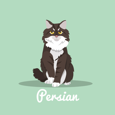Persian cute cat is sitting illustration design.vectorのイラスト素材