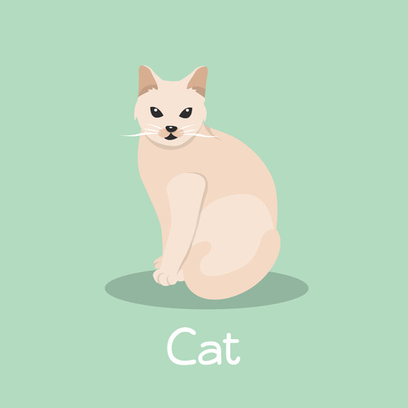 A lovely cat sitting on green background.vectorのイラスト素材