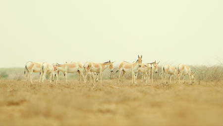 Nature's Kidsの写真素材