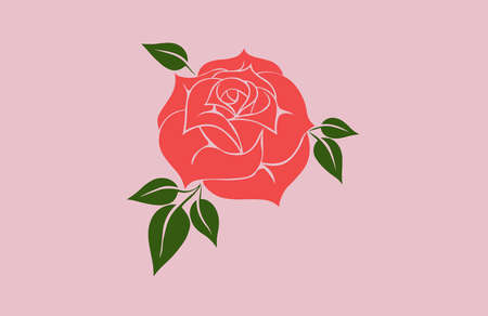 A vector illustration of a beautiful pink rose on a pink background.のイラスト素材