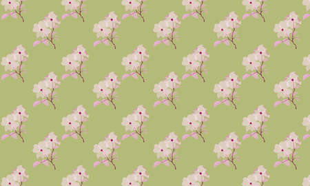 A seamless pattern with transparent flowers. Suitable for textiles,の写真素材